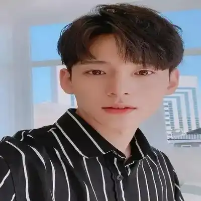 龙航杏